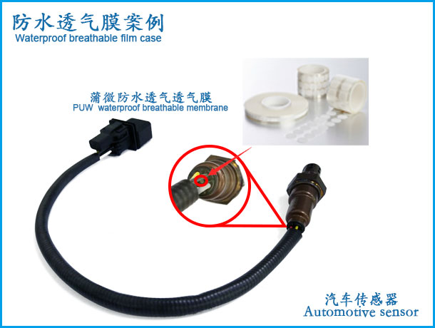 Automotive sensor